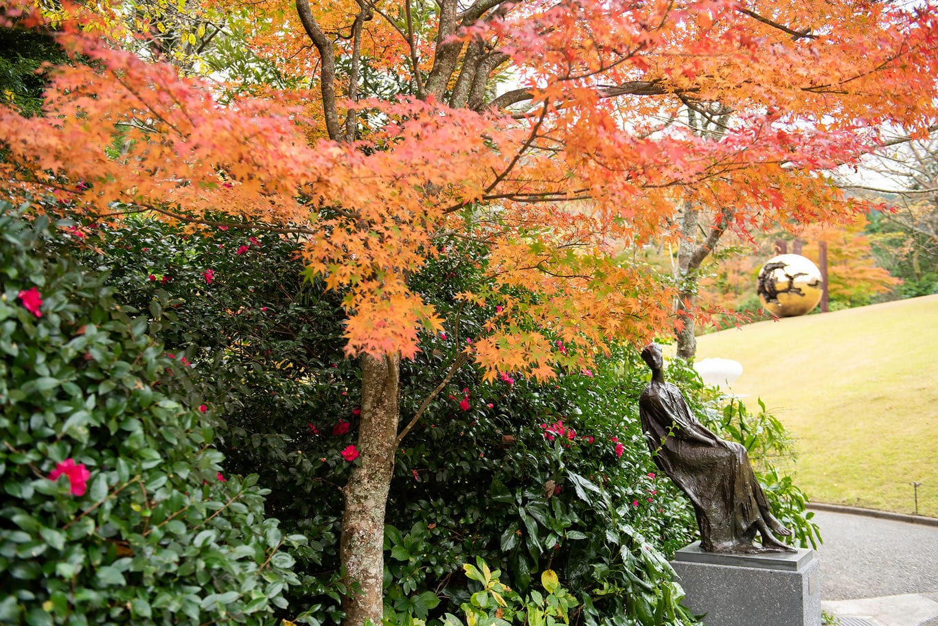 彫刻の森美術館